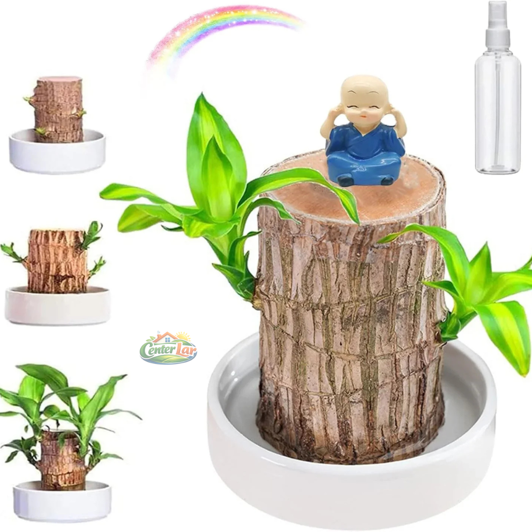 Madeira da Sorte com Monge Raro: Um Símbolo de Prosperidade - [Promoção Compre 1 Leve 2🔥]